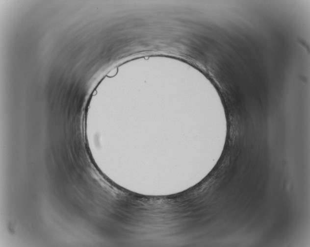 X0000102271516200808221426