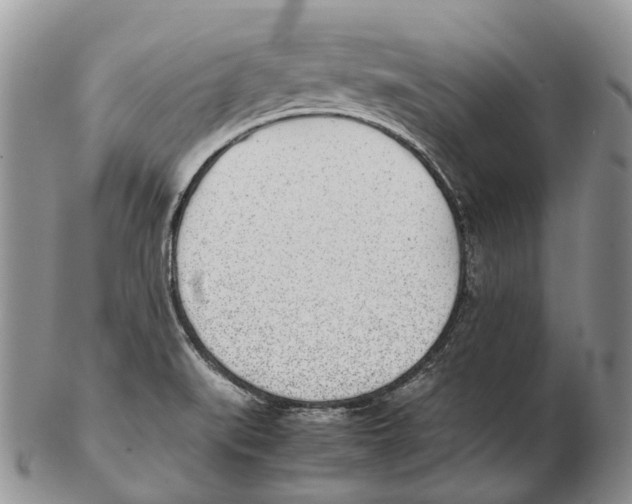 X0000102271519200808221426