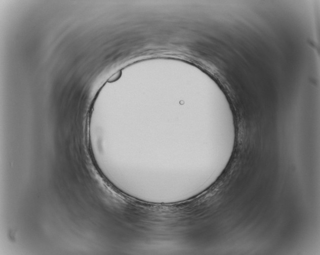 X0000102271520200808221426