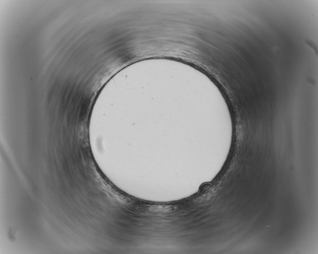 X0000102271521200808221426
