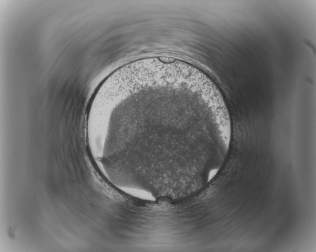 X0000102271522200808221426