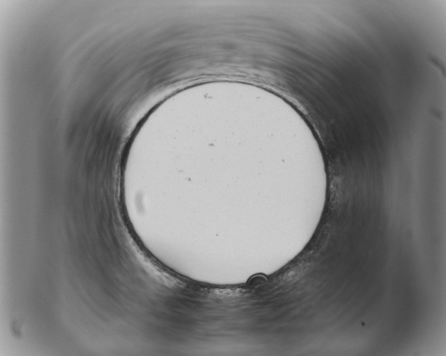 X0000102271523200808221426