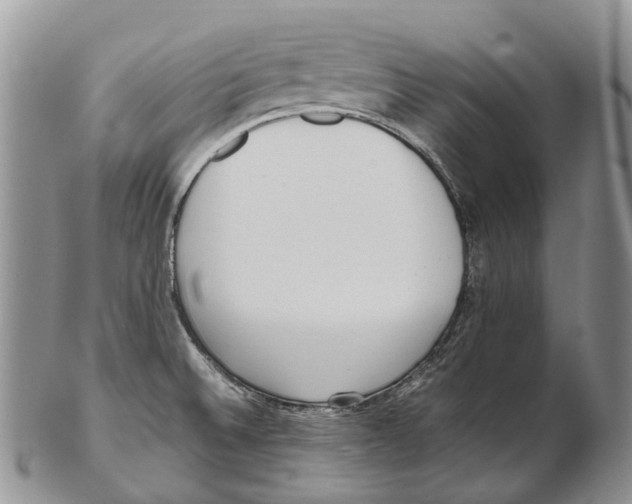 X0000102271524200808221426