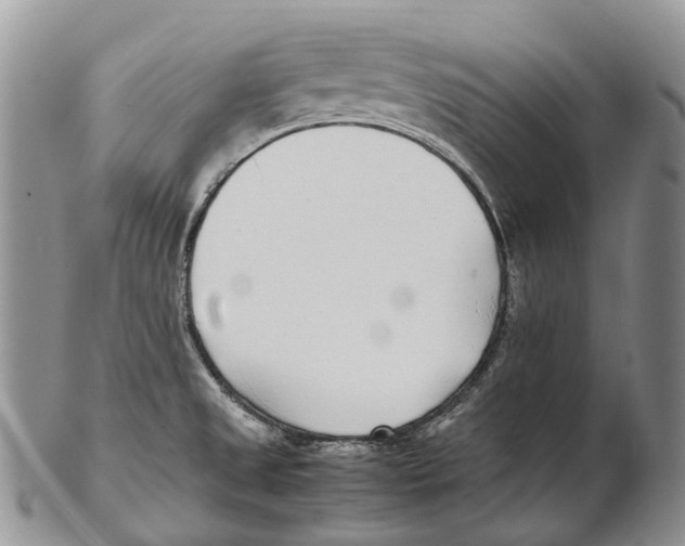 X0000102271525200808221426