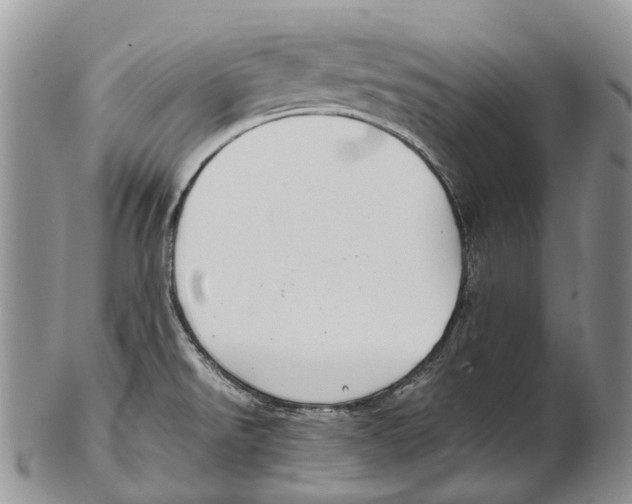 X0000102271526200808221426