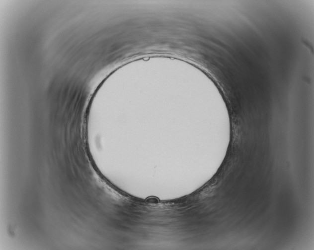 X0000102271527200808221426