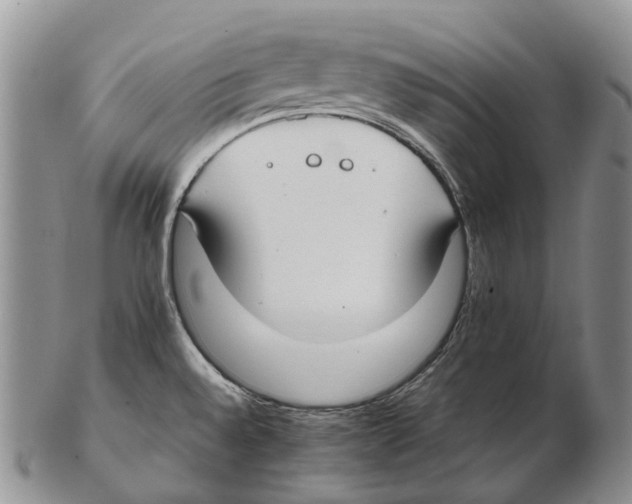 X0000102271528200808221426