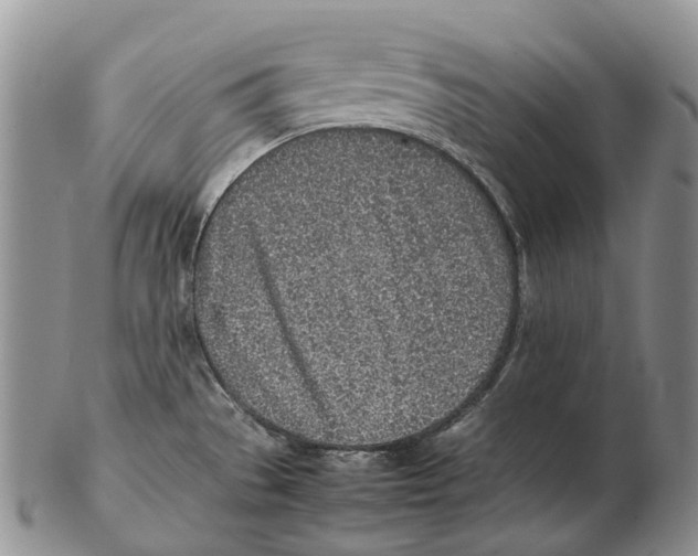X0000102271529200808221426