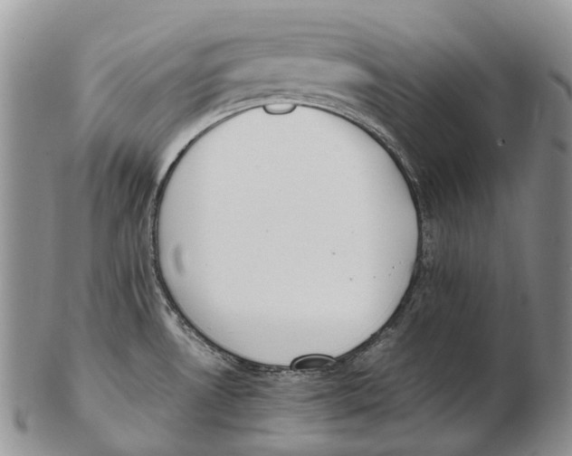 X0000102271530200808221426