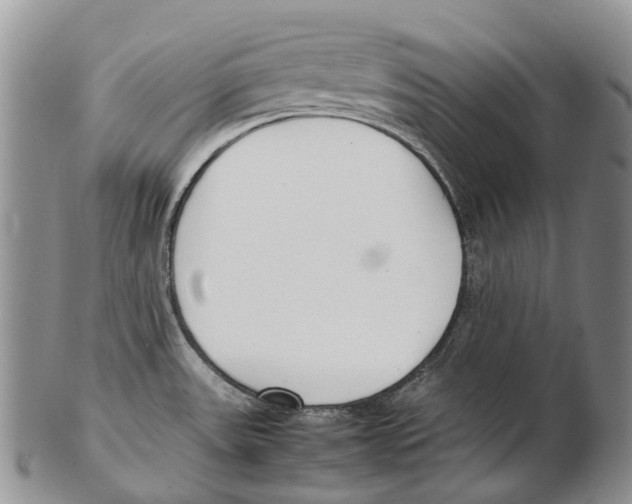 X0000102271531200808221426