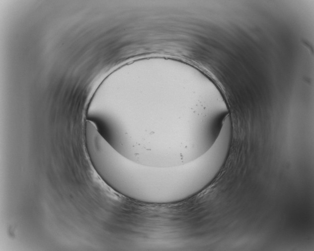 X0000102271532200808221426
