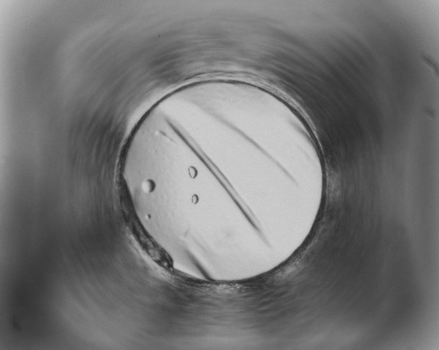 X0000102271533200808221426