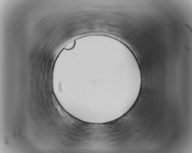X0000102271534200808221426
