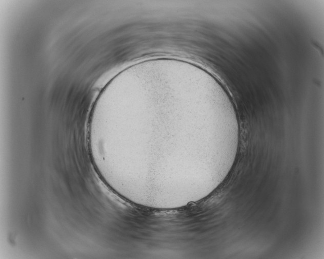 X0000102271535200808221426