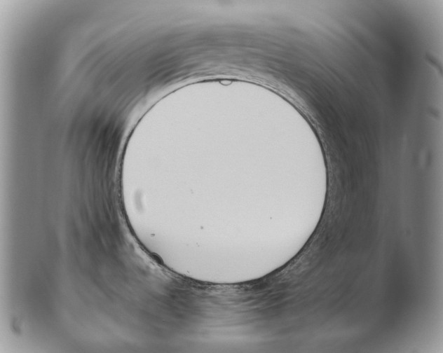 X0000102271536200808221427