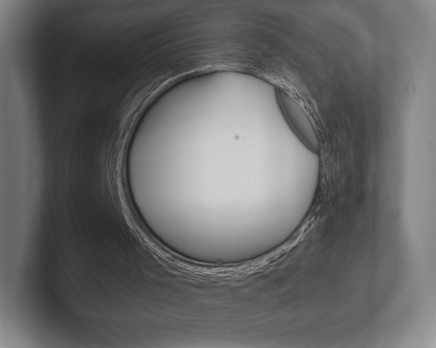 X0000102280001200807250950