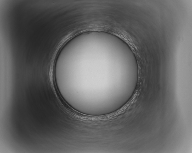 X0000102280003200807250950