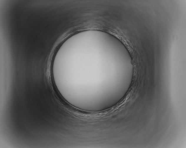 X0000102280004200807250950