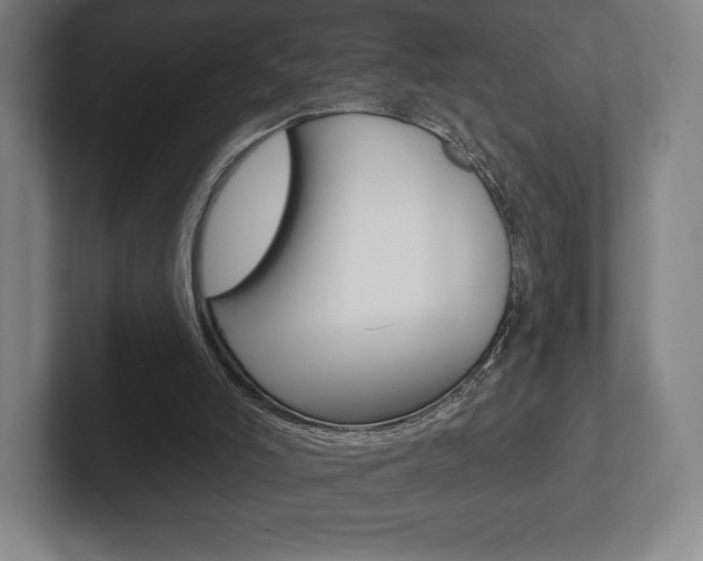 X0000102280006200807250950
