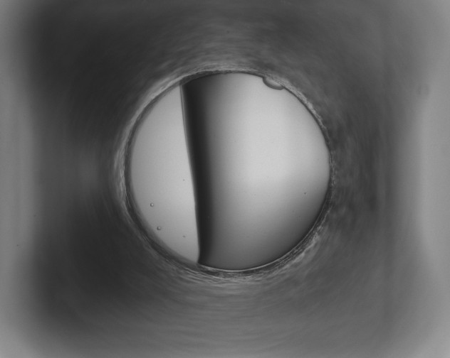 X0000102280008200807250950