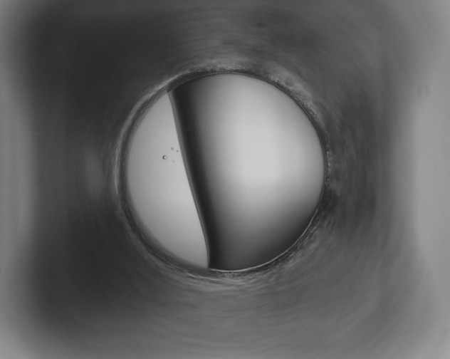 X0000102280012200807250950