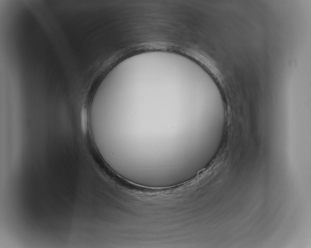 X0000102280013200807250950