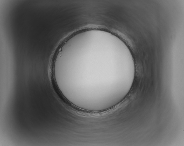 X0000102280015200807250950