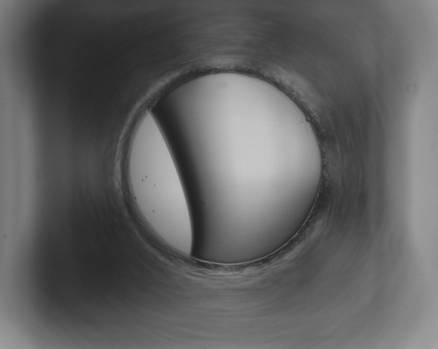 X0000102280016200807250950