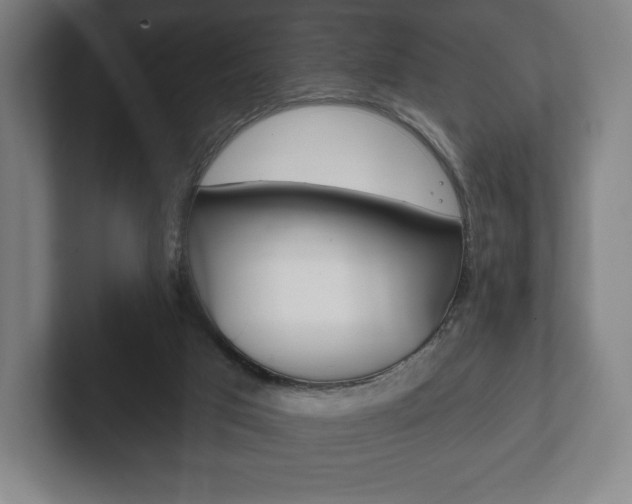 X0000102280017200807250950