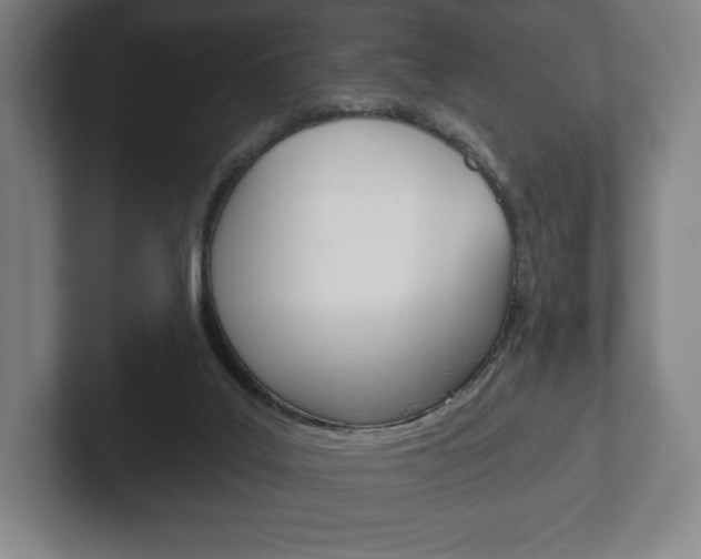 X0000102280019200807250950