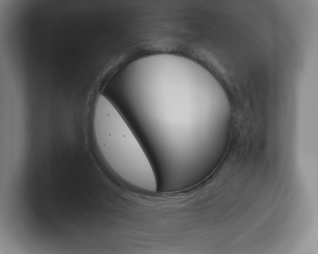 X0000102280020200807250950