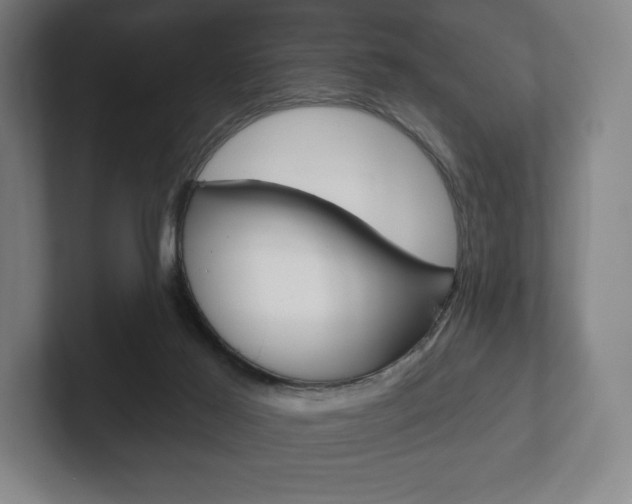 X0000102280021200807250950