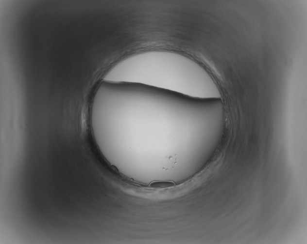 X0000102280023200807250950