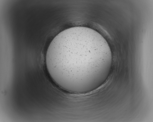 X0000102280025200807250950