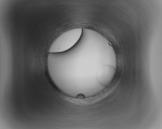 X0000102280030200807250950