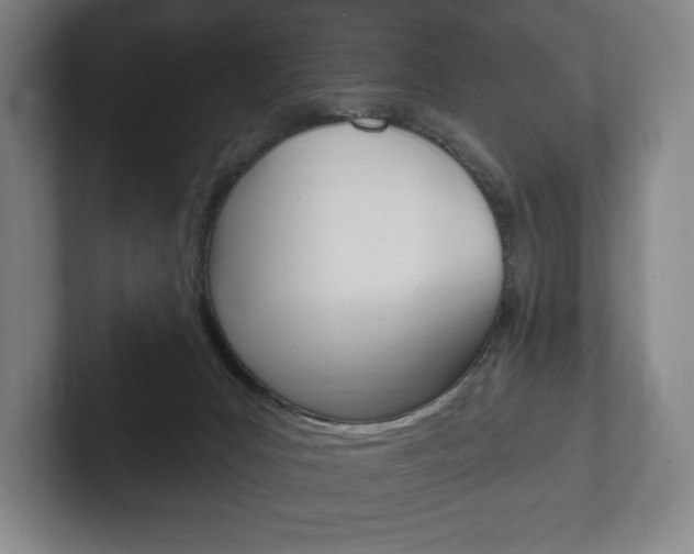 X0000102280031200807250950
