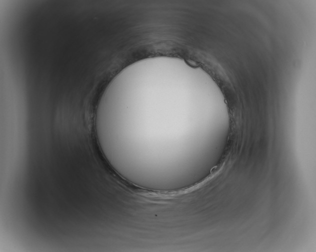 X0000102280033200807250950