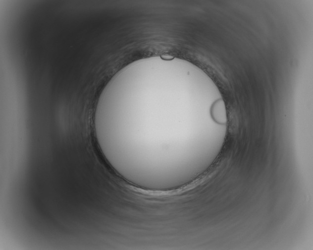 X0000102280034200807250950