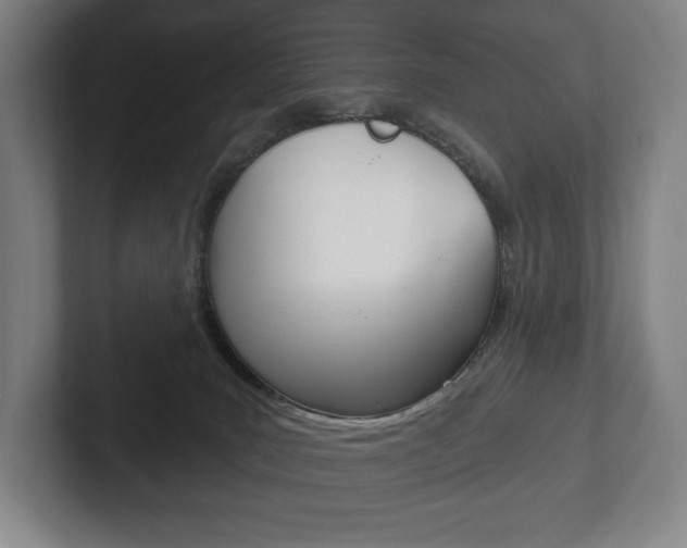 X0000102280035200807250950