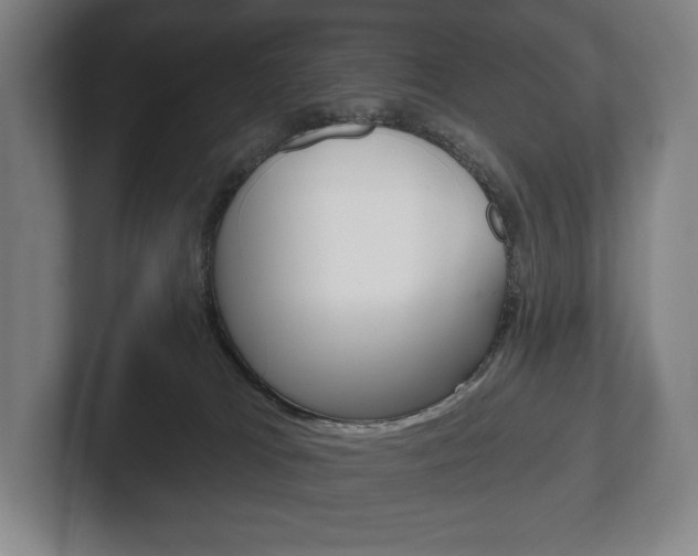 X0000102280037200807250950
