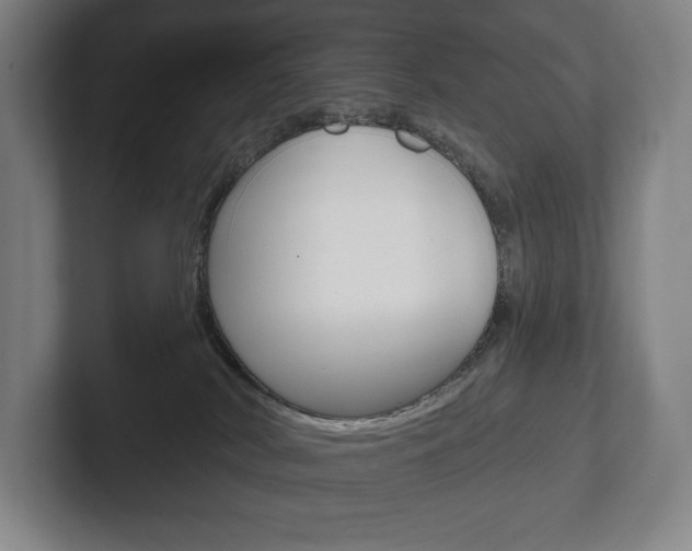X0000102280038200807250950