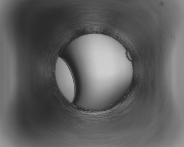 X0000102280040200807250950