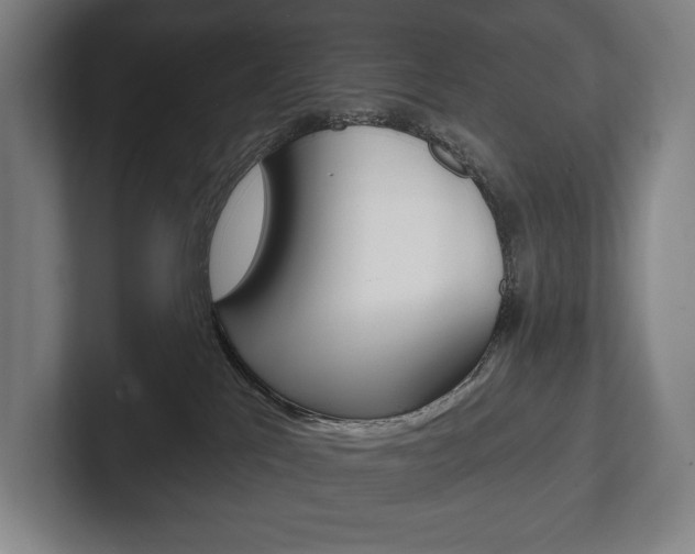 X0000102280041200807250950
