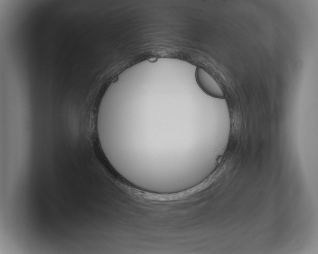 X0000102280043200807250950