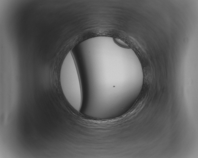 X0000102280044200807250950