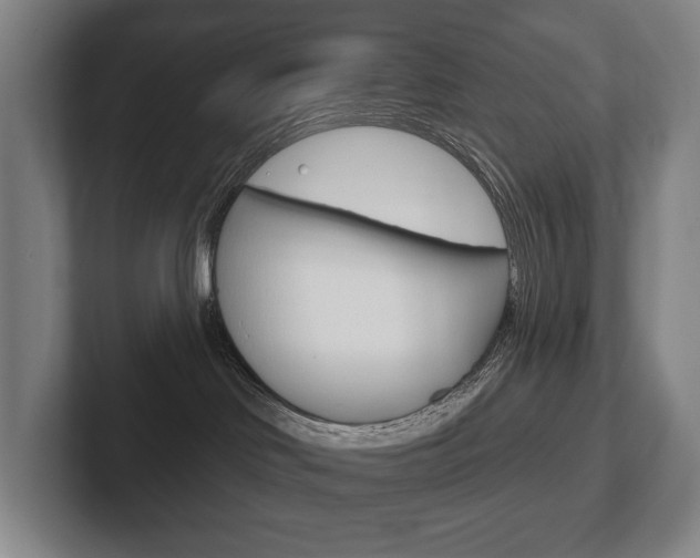 X0000102280046200807250950