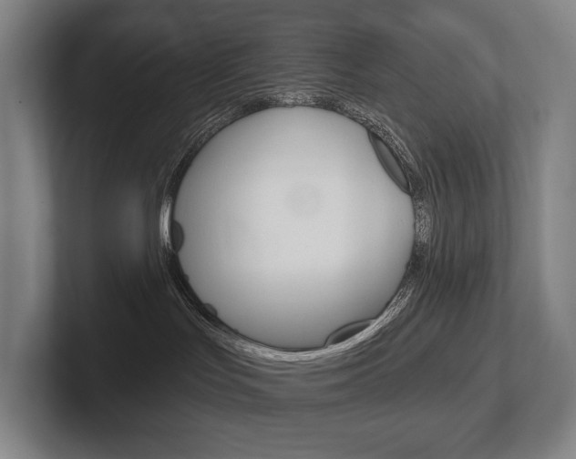 X0000102280047200807250950