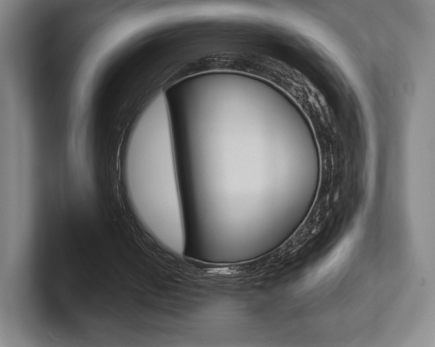 X0000102280050200807250949