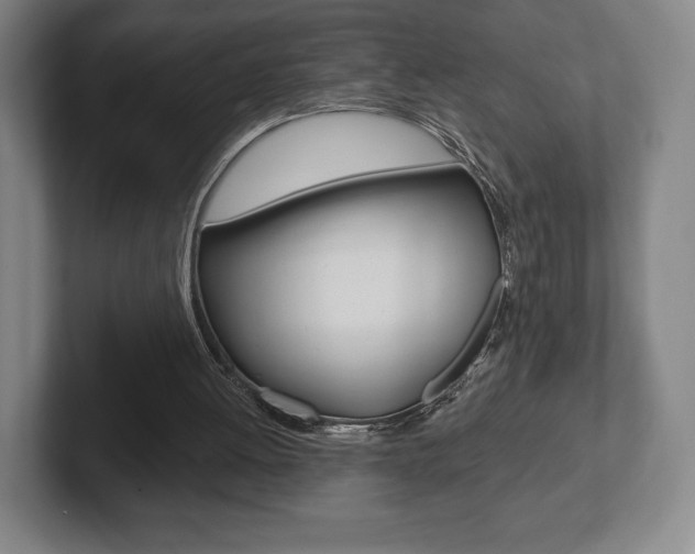 X0000102280052200807250949