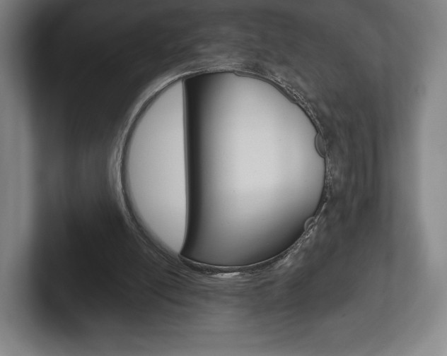X0000102280054200807250949